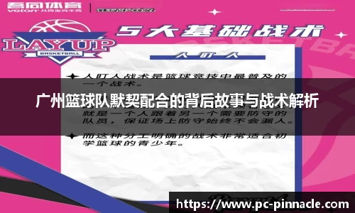 广州篮球队默契配合的背后故事与战术解析
